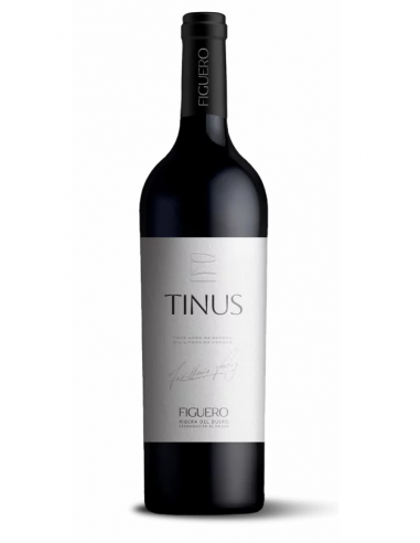 Figuero Tinus